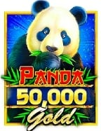 สมัครวันนี้รับ เครดิต ฟรี bet911 มั่นใจได้เลย